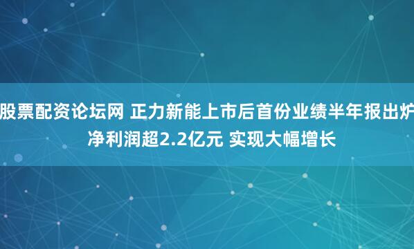 股票配资论坛网 正力新能上市后首份业绩半年报出炉  净利润超2.2亿元 实现大幅增长