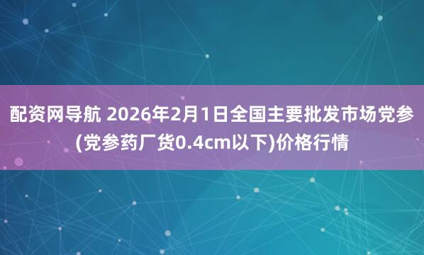 配资网导航 2026年2月1日全国主要批发市场党参(党参药厂货0.4cm以下)价格行情